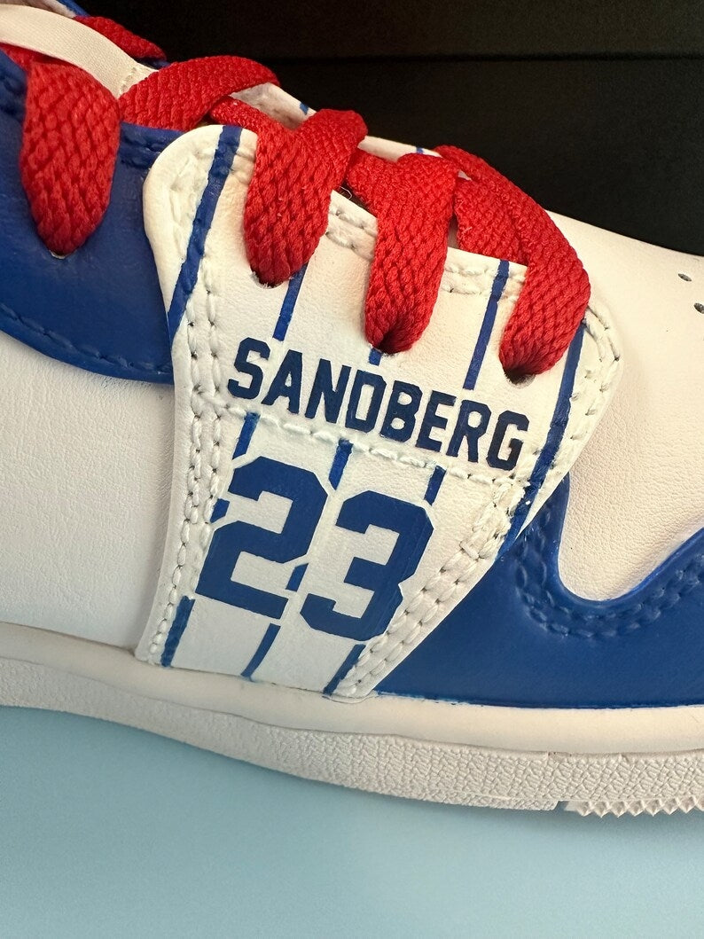 Custom Air Jordan 1 White Blue Red Cubs Theme